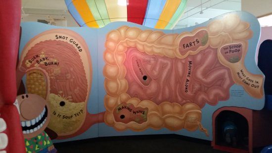 The Children's Museum of Green Bay